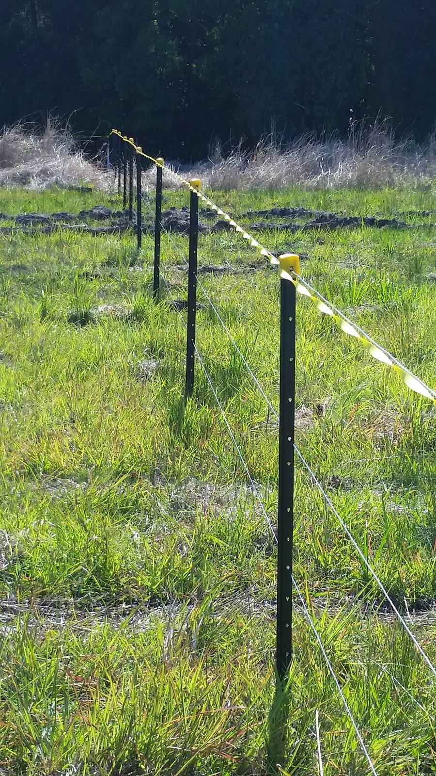 Close-up of temporary fence posts and stays aligned with precision in a grassed paddock