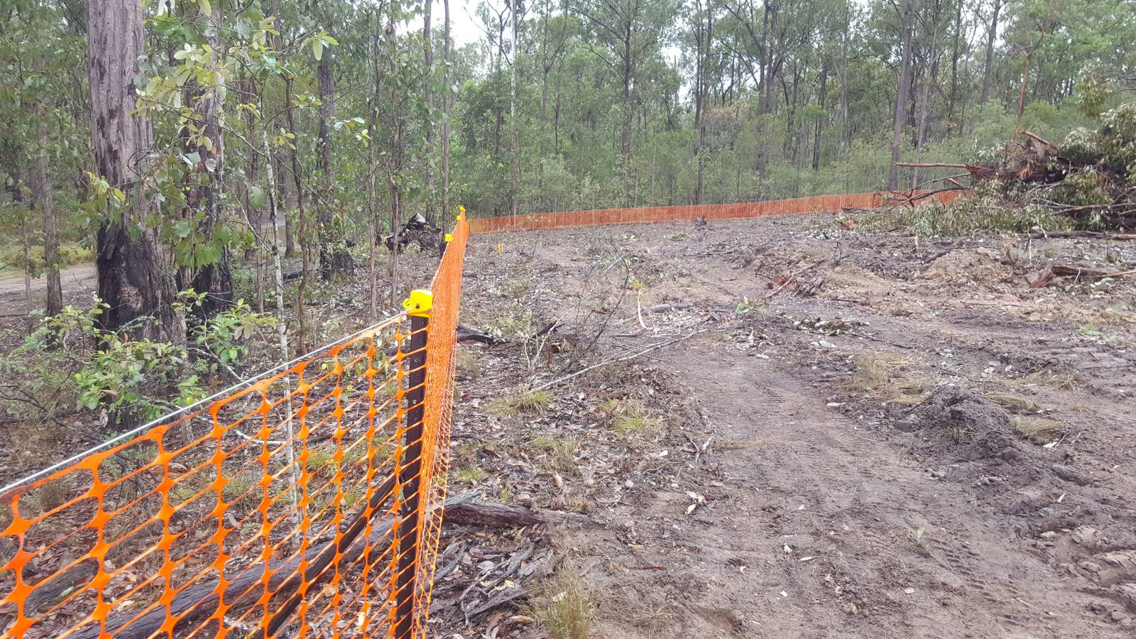 Bright orange safety fencing installed in a dead-straight line through a cleared bushland site