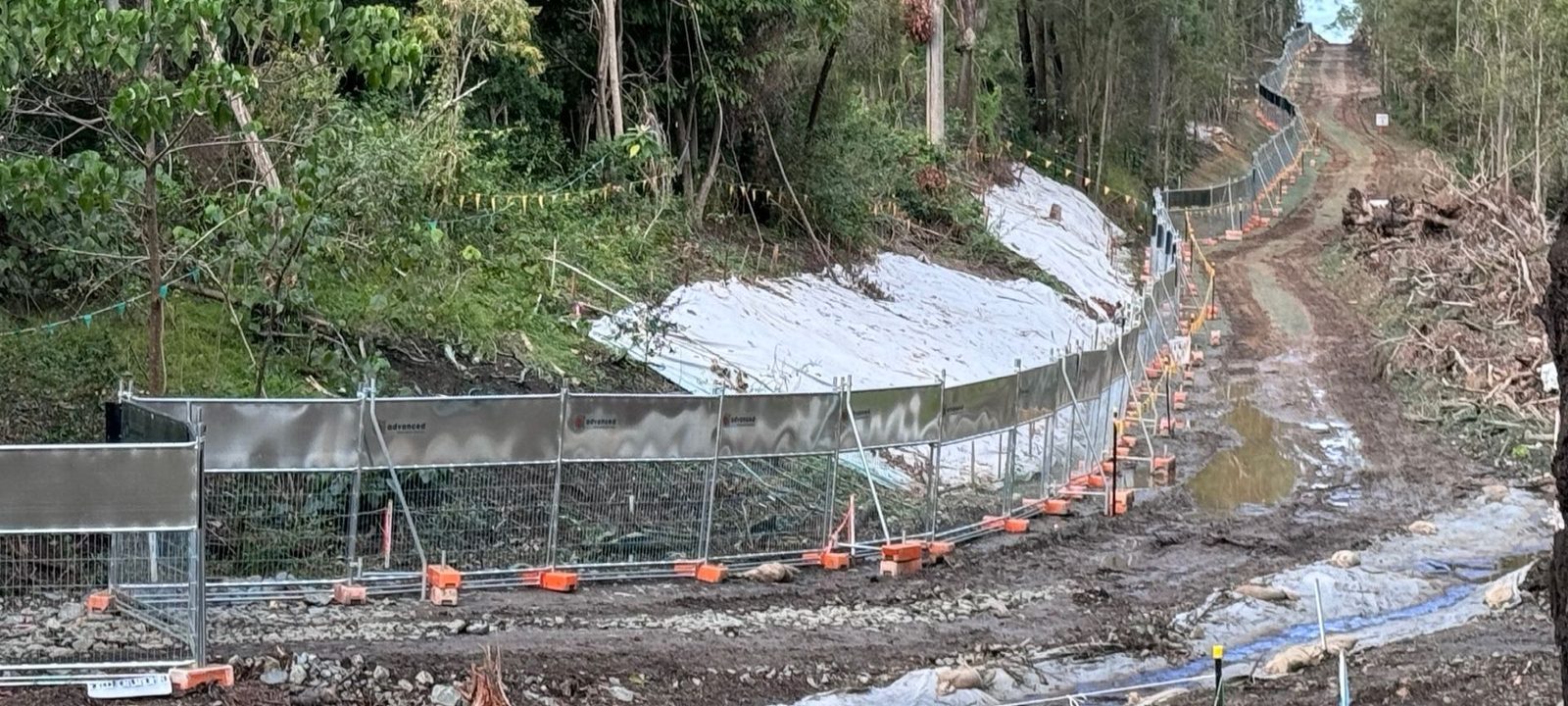 Advanced Temporary Koala Fencing 3